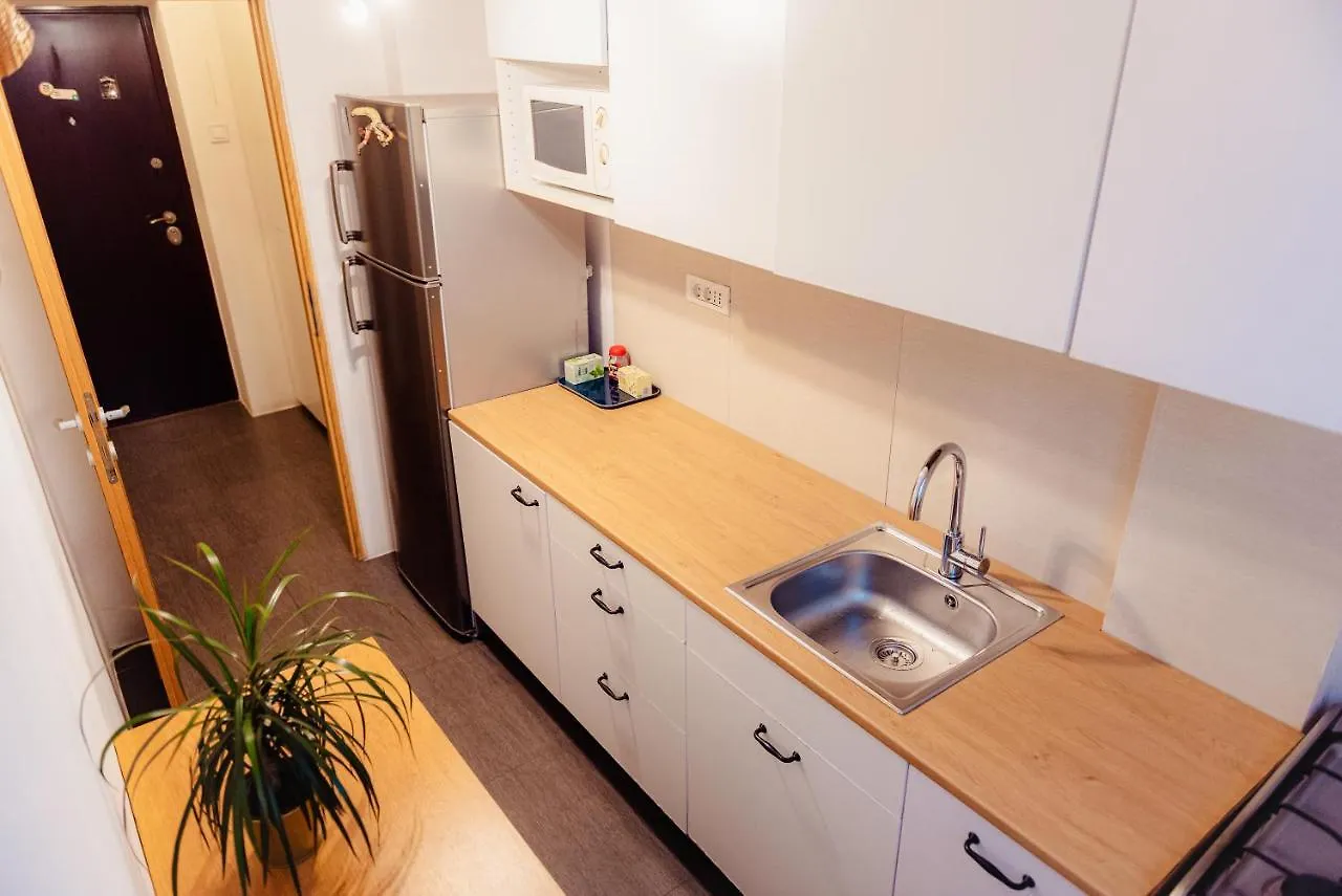 City Center Downtown Apartment بوخارست